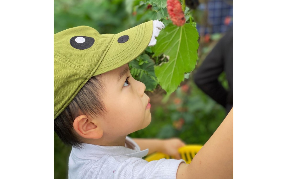 Visit Hien Minh's Organic Garden