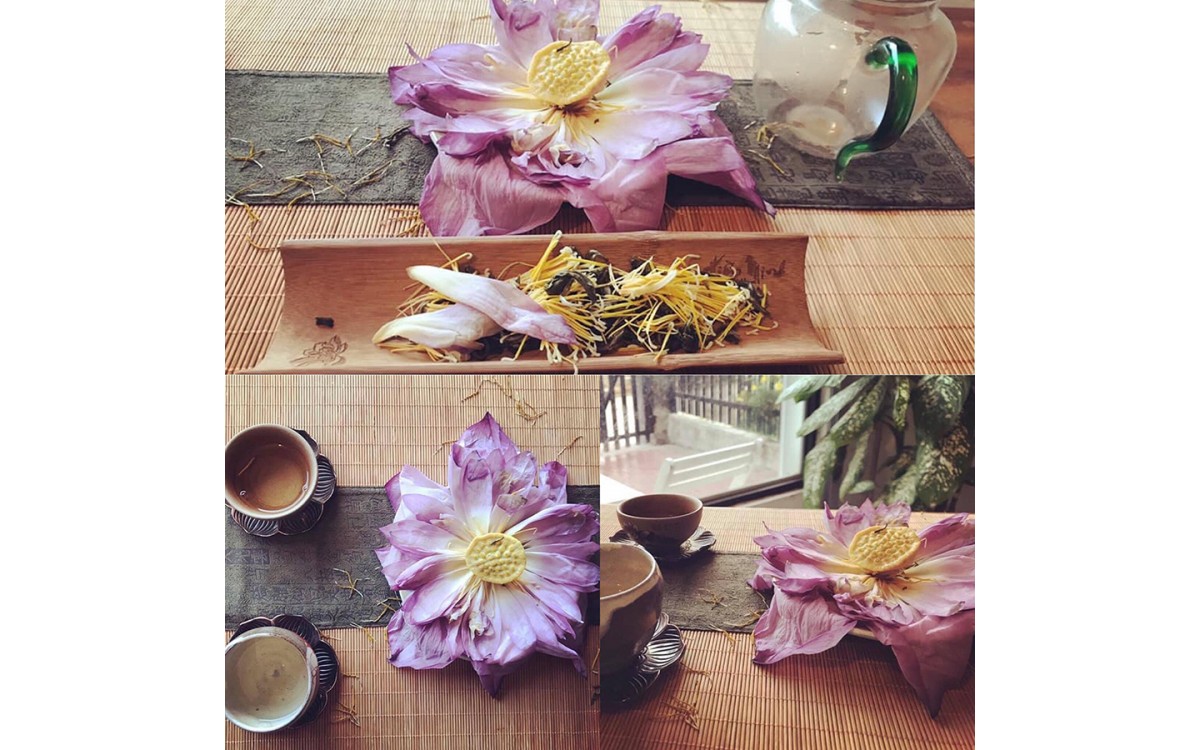 FRESH LOTUS TEA - A NEW CULINARY FEATURE IN THE EYES OF INDONESIAN GUESTS 