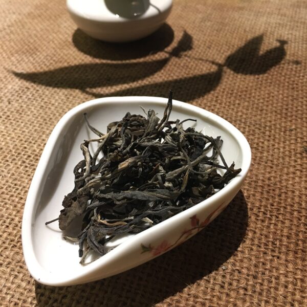 Green Puerh 2015 (Phổ Nhĩ Sống 2015)