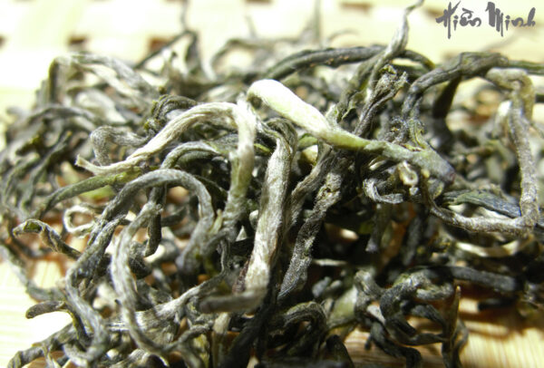 Virgin Green Tea (Trinh Nguyên)