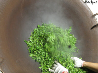 A Collection of Hien Minh New Spring Tea 2020