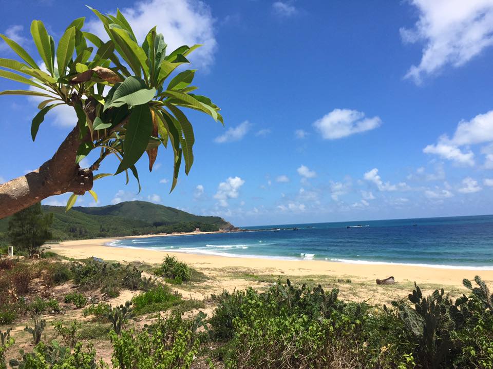 42193664_544218939363623_6358827930746880000_n 42193664_544218939363623_6358827930746880000_n