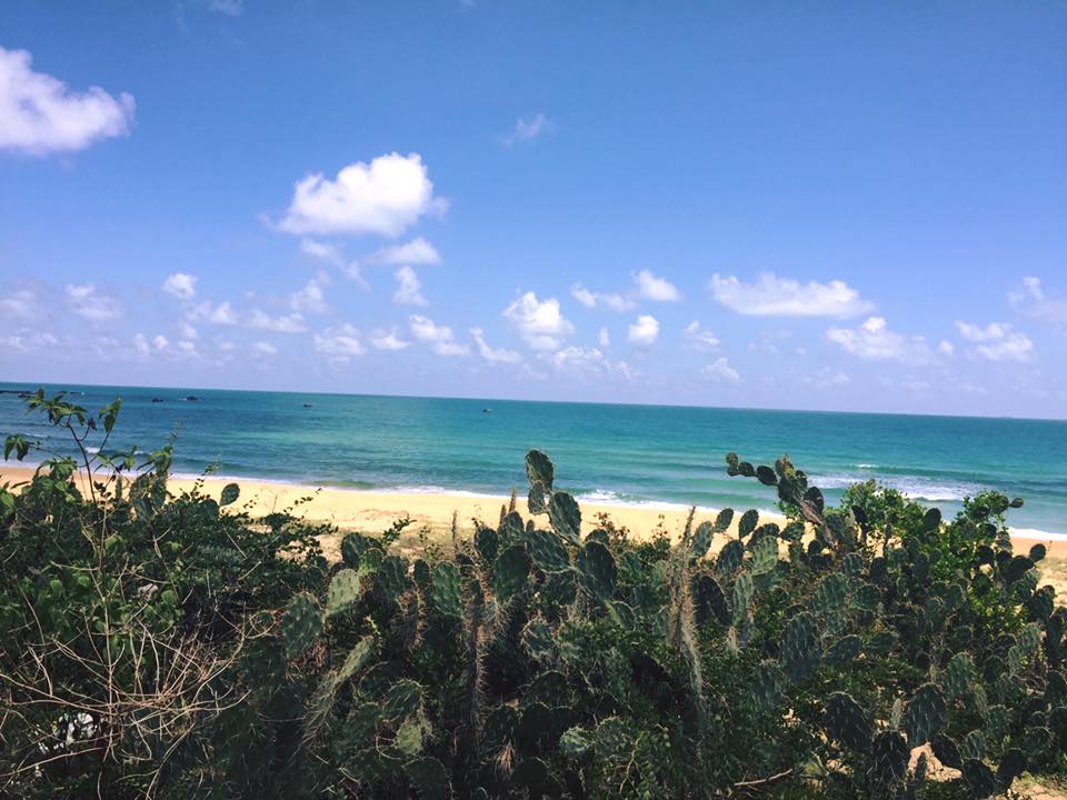 42226013_544219002696950_5896380293656346624_n 42226013_544219002696950_5896380293656346624_n