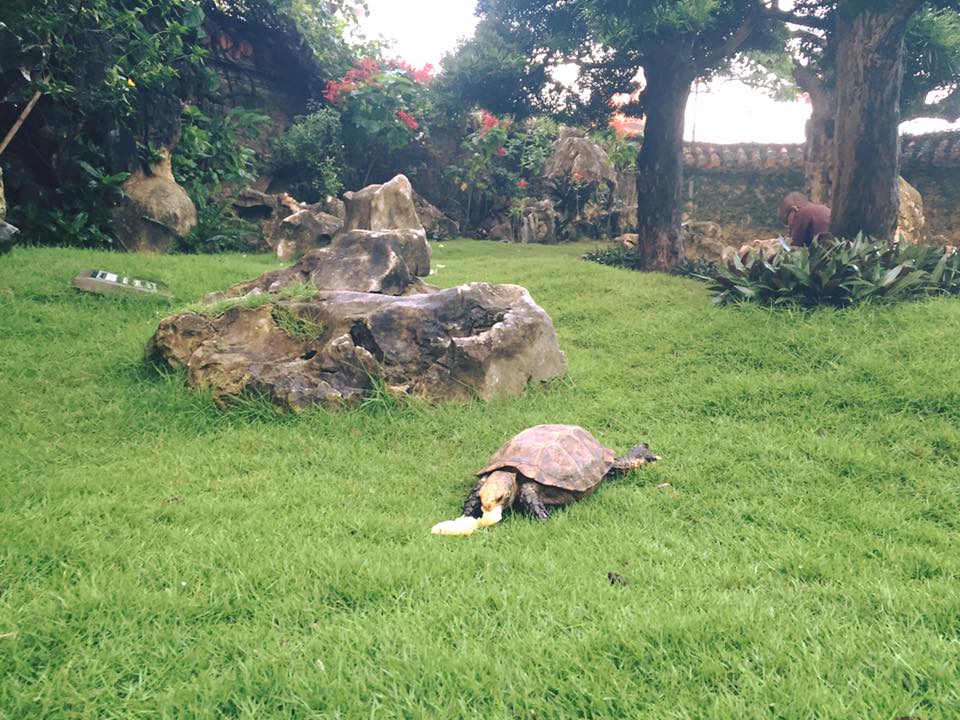 42241960_544866082632242_3583526338742452224_n 42241960_544866082632242_3583526338742452224_n