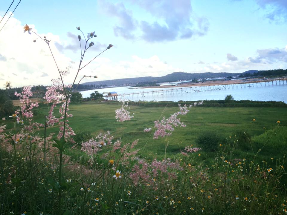 42245285_545259509259566_2694670208156565504_n 42245285_545259509259566_2694670208156565504_n