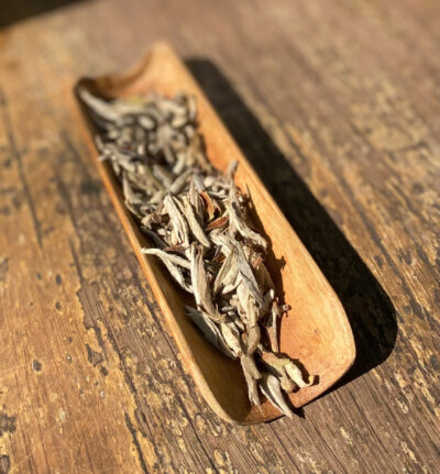 z6214969104851_c2457f66db12dbc678fa9beaf1a4d99b